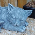 Bild 6 von Steinfigur Katze Gartenfigur Gartendeko Frost- wetterfest Beton
