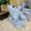 Bild 1 von Steinfigur Frosch Gartenfigur Gartendeko Frost- wetterfest Massiv Beton