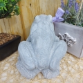 Bild 4 von Steinfigur Frosch Gartenfigur Gartendeko Frost- wetterfest Massiv Beton